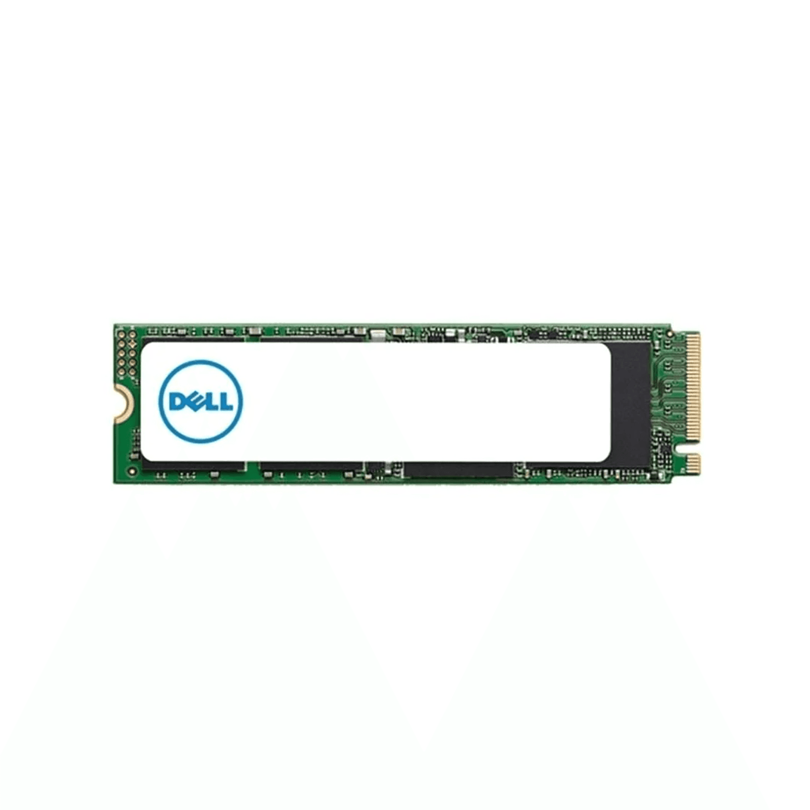 Dell 480GB M.2 6Gbps SATA Server SSD
