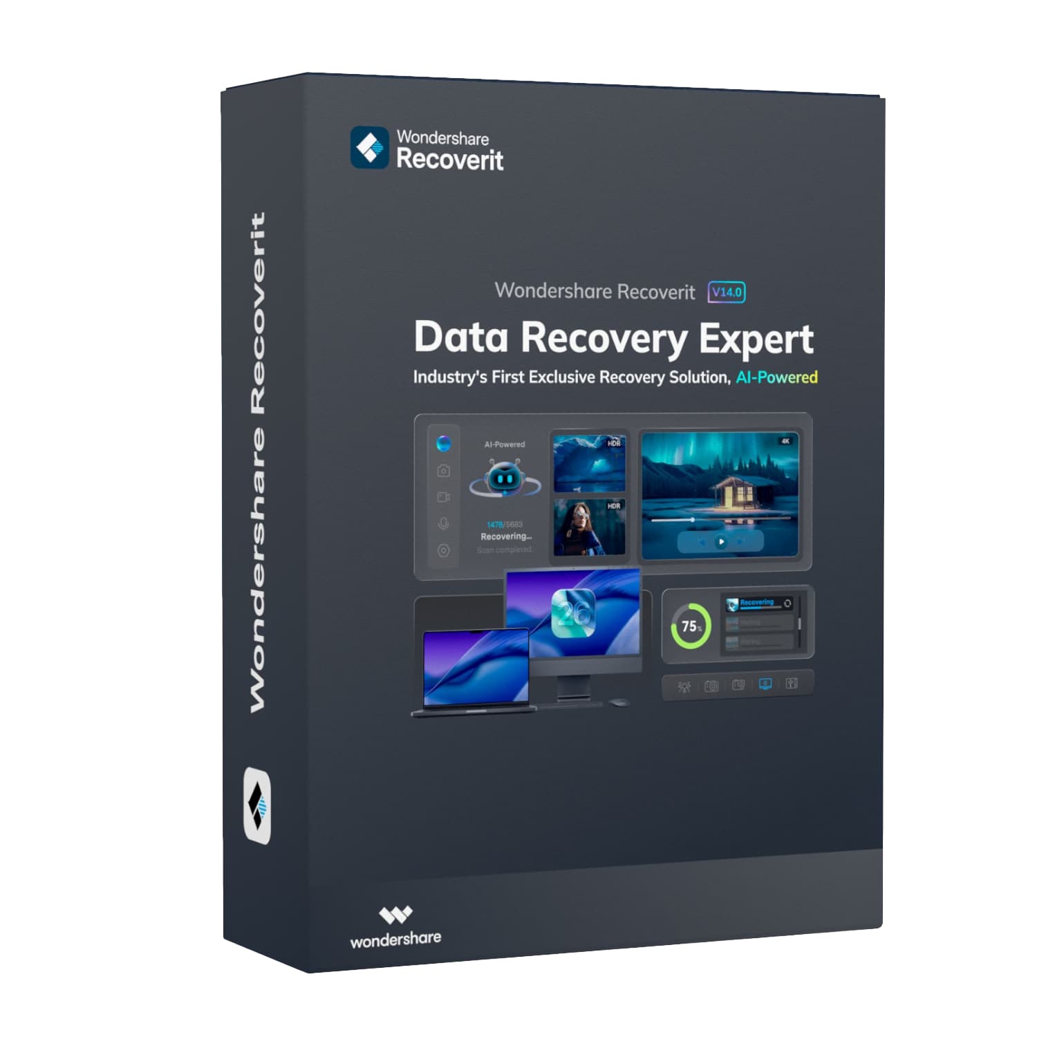 Wondershare Recoverit Data Recovery Expert for Windows Individual (Digital Perpetual License) — image 1